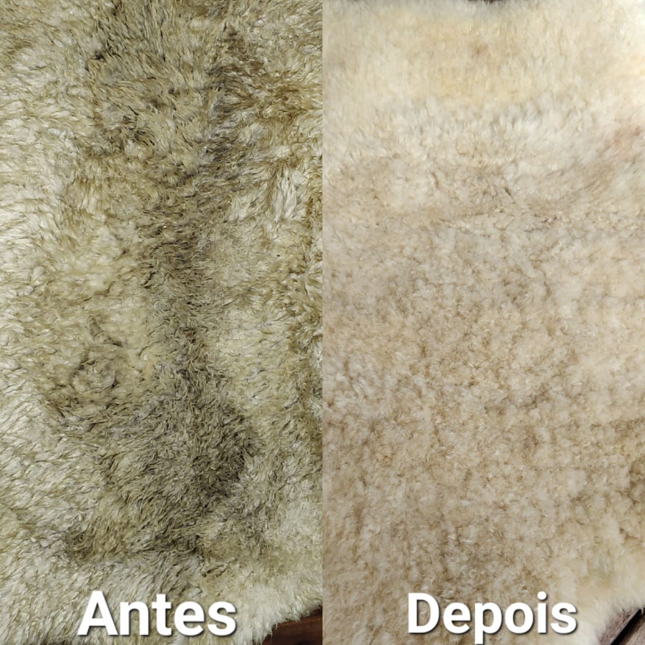 Imagem do WhatsApp de 2025-05-22 à(s) 23.25.39_a33ca783